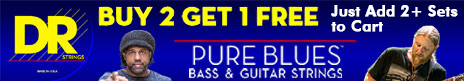 https://www.stringsandbeyond.com/flash-sale-on-dr-pure-blues.html